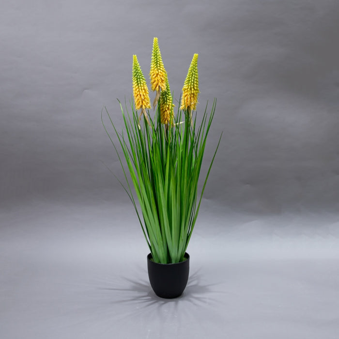 LONGJIN-90CM TORCH LILY GRS GRN (413252212)