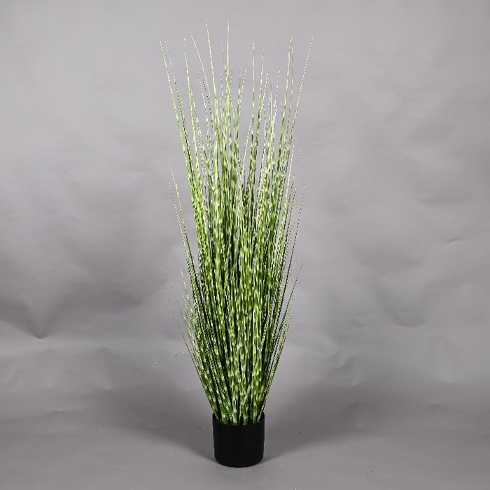 LONGJIN 48INCH ZEBRA GRASS WITH PLASTIC POT (413252059)