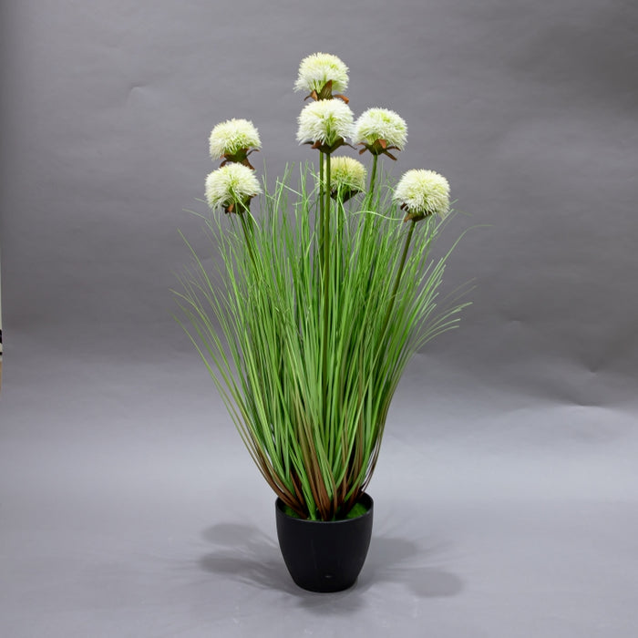 LONGJIN-75CM SUNFLOWER GRASS WHITE (413252215)