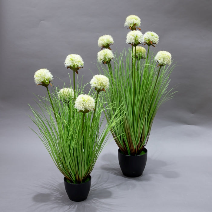 LONGJIN-75CM SUNFLOWER GRASS WHITE (413252215)