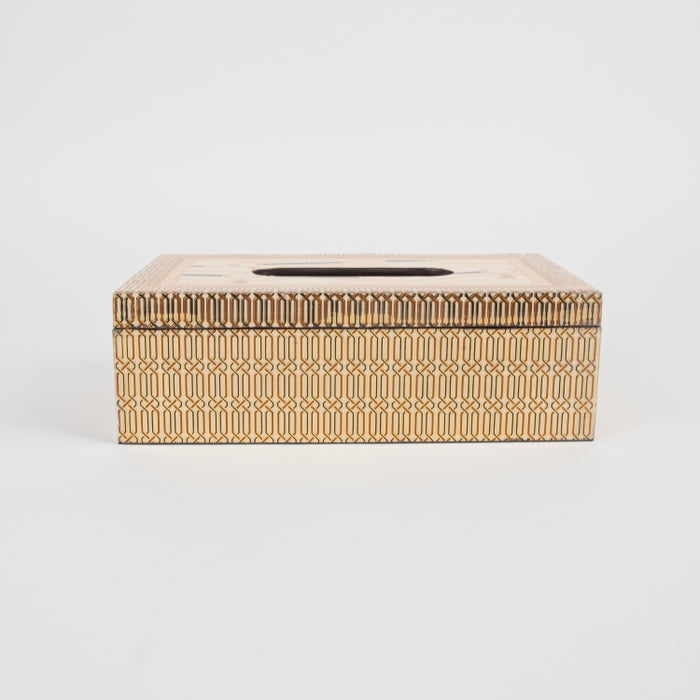 LUXURY CHAIN TISSUE BOX 24X18CM (202073475)