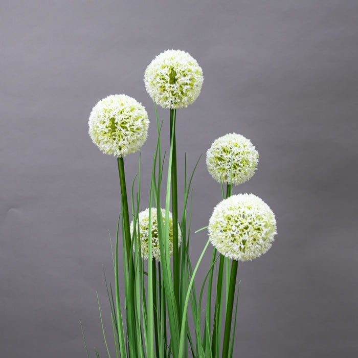 LONGJIN-110CM ALLIUM GRASS GREEN (413252200)