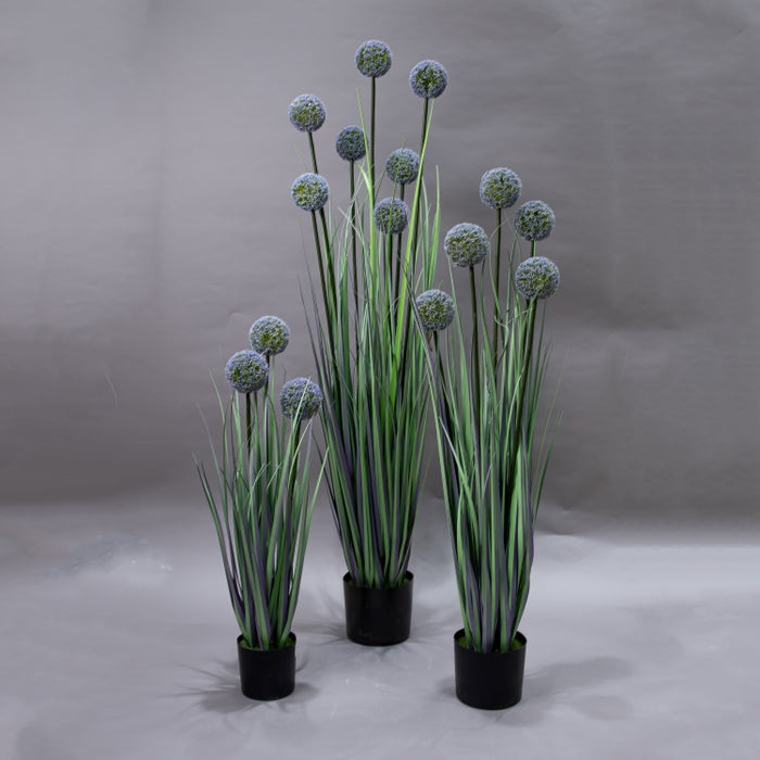 LONGJIN-110CM ALLIUM GRASS PURPLE (413252197)