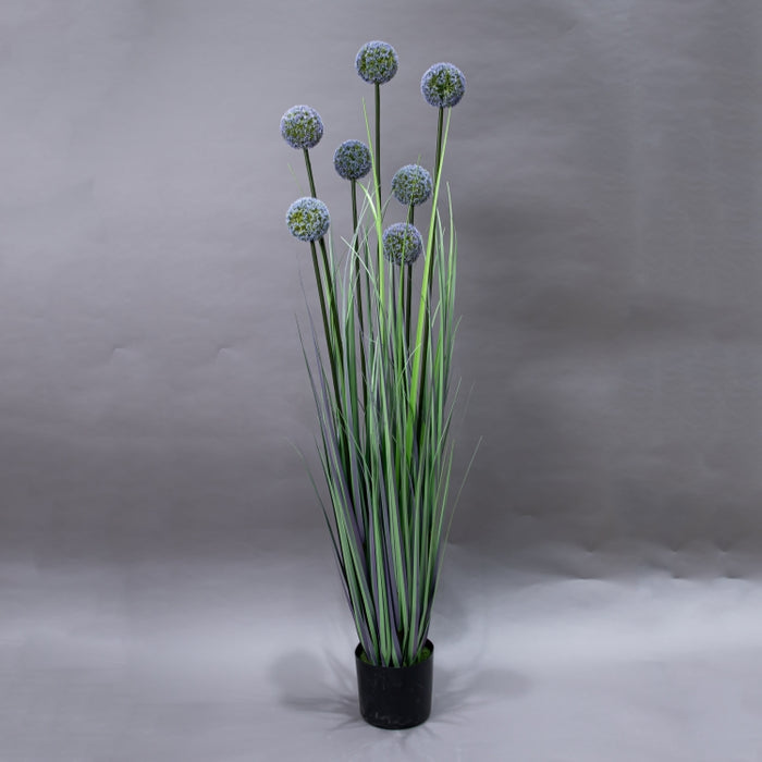 LONGJIN-140CM ALLIUM GRASS PURPLE (413252198)