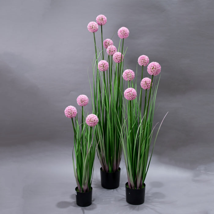 LONGJIN-80CM ALLIUM GRASS PINK (413252193)