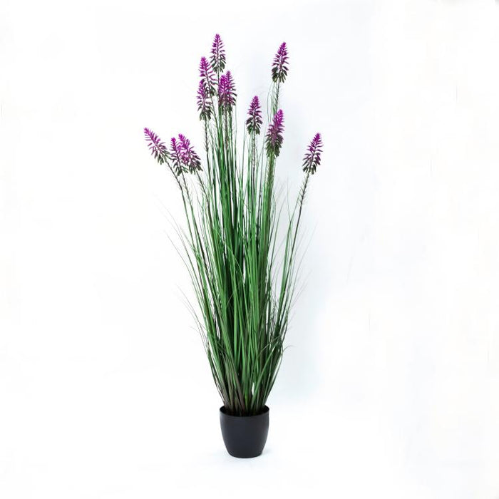 LONGJIN-60" FLOWER GRASS PURPLE (413252235)