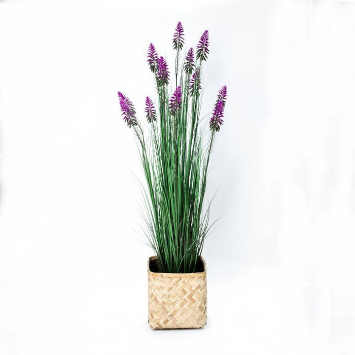 LONGJIN-60" FLOWER GRASS PURPLE (413252235)