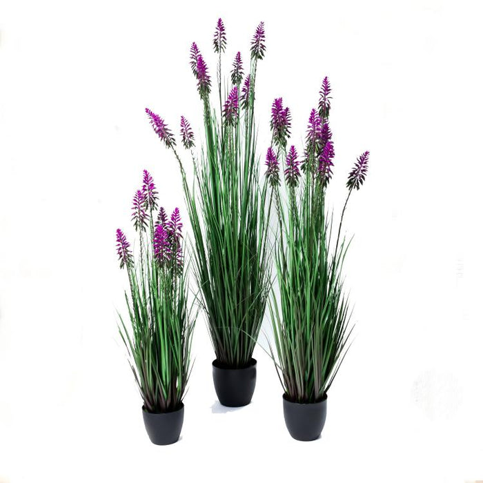 LONGJIN-36" FLOWER GRASS PURPLE (413252233)