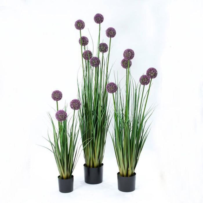 LONGJIN-31.5" ALLIUM GRASS PURPLE (413252239)