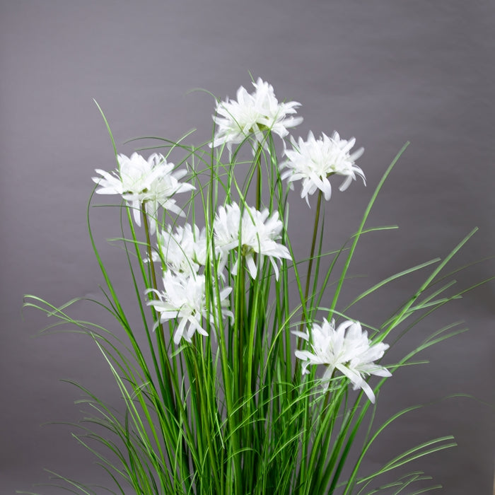 LONGJIN-120CM WHITE MAGIC LILY GRASS (413252189)