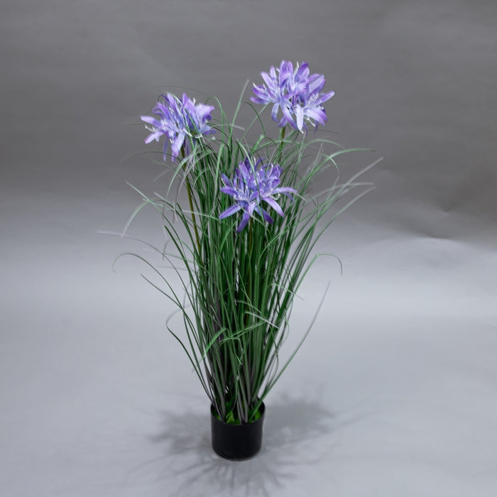 LONGJN-70CM PURPLE MAGIC LILLY GRASS (413252184)